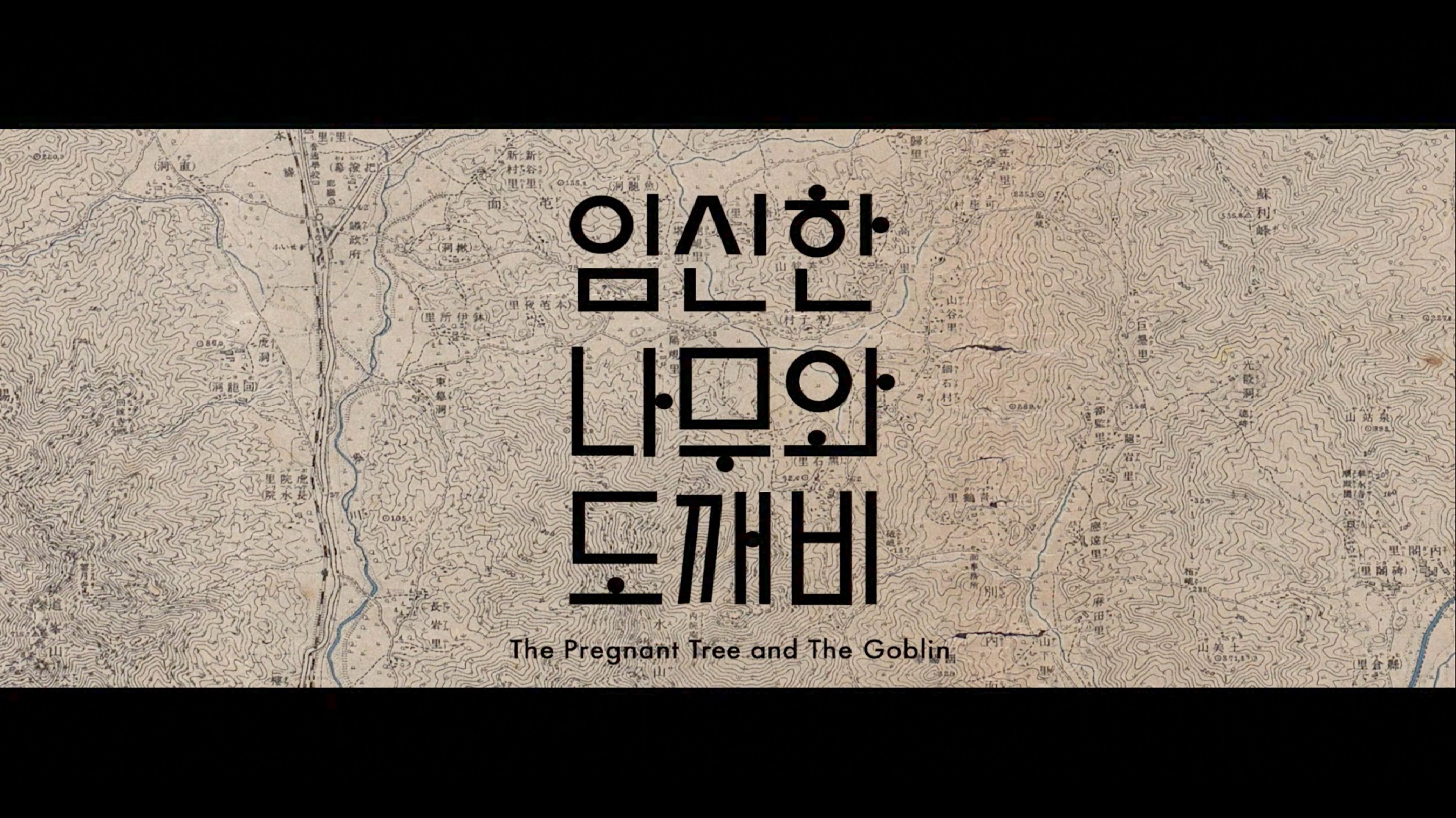 怀孕的树和哥布林 임신한 나무와 도깨비 (2019) 韩语